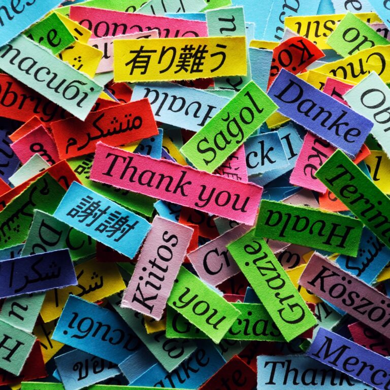 Many sheets of colorful papers with the word "Thank you" in different languages