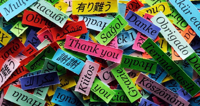 Many colorful sheets of paper with the word "thank you" in different lagngauges